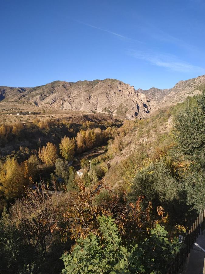 El Rio *